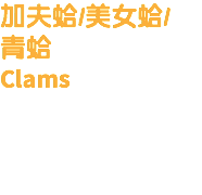 加夫蛤/美女蛤/ 青蛤 Clams 